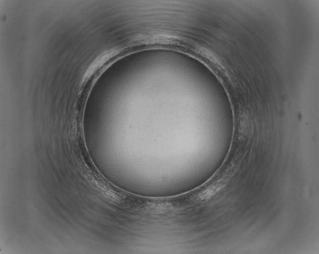 X0000067940978200604201401