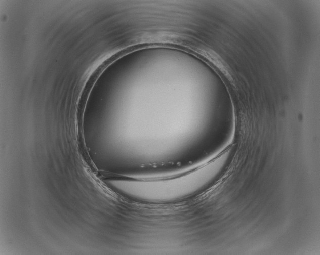 X0000067940980200604201401