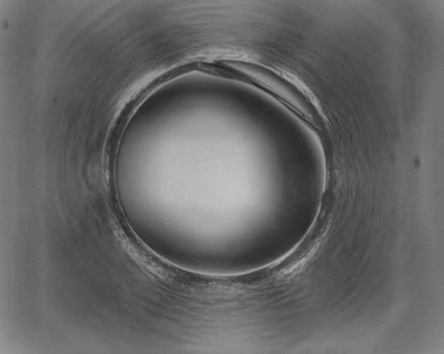 X0000067940981200604201401