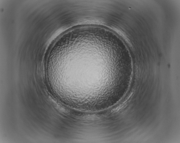 X0000067940982200604201401
