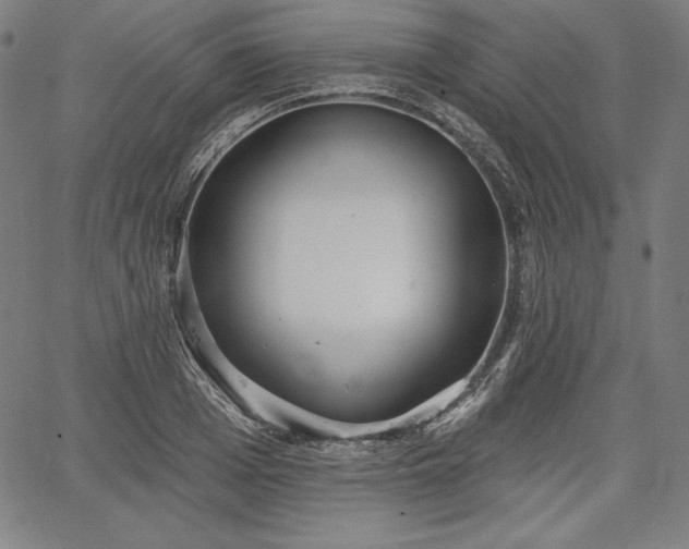 X0000067940985200604201401