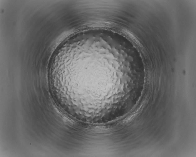 X0000067940986200604201401