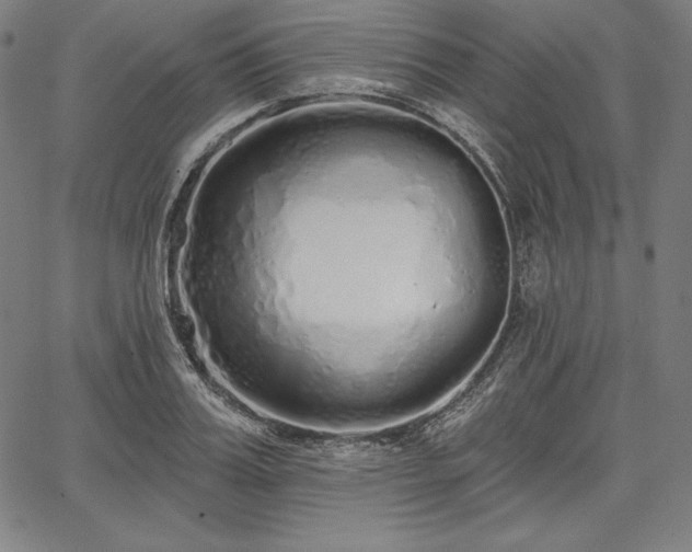 X0000067940987200604201401