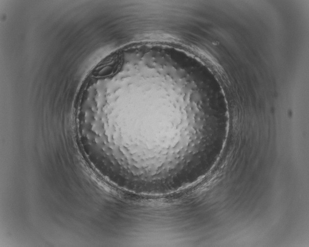 X0000067940990200604201401