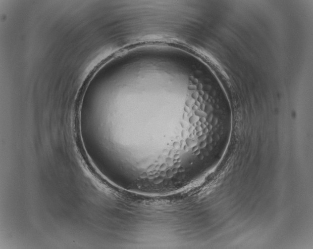 X0000067940991200604201401