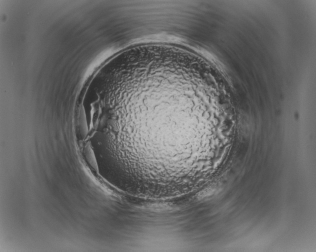 X0000067940998200604201401