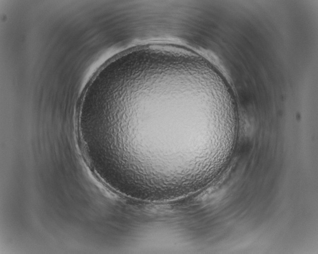 X0000067941006200604201401