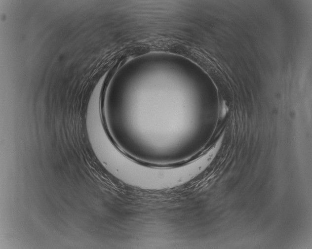 X0000067941010200604201400