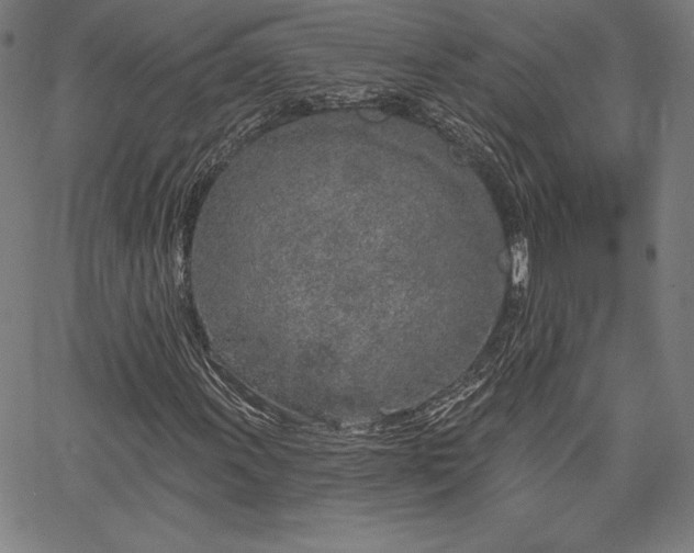 X0000067941011200604201400