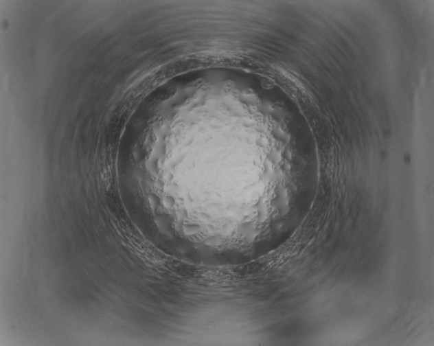 X0000067941015200604201400