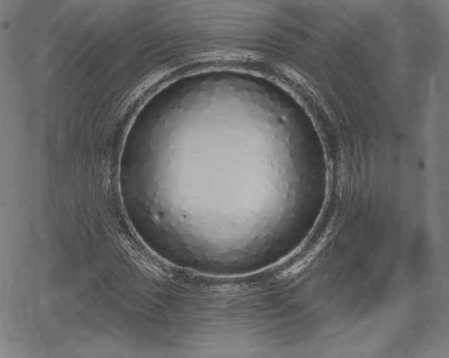 X0000067941017200604201400