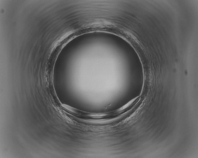 X0000067941018200604201400
