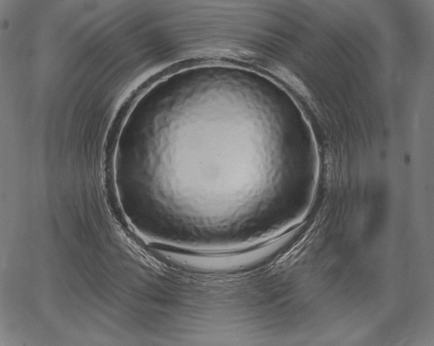 X0000067941020200604201400