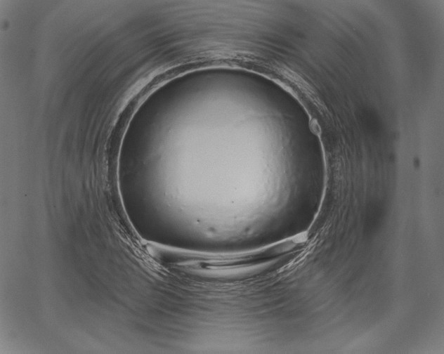 X0000067941023200604201400