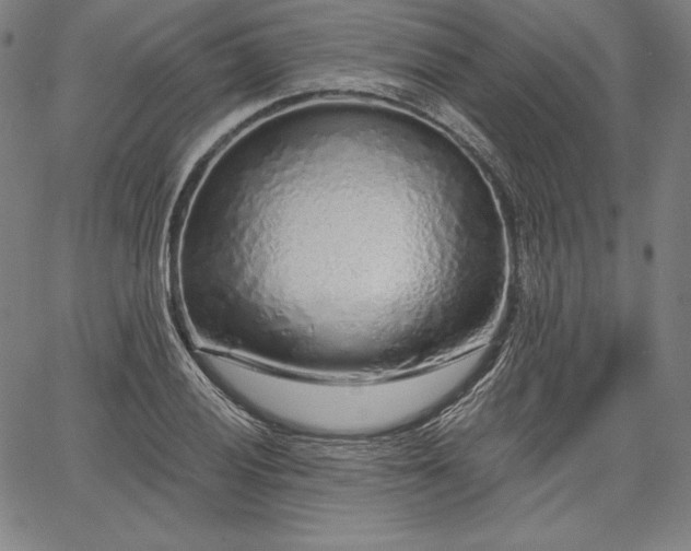 X0000067941028200604201400