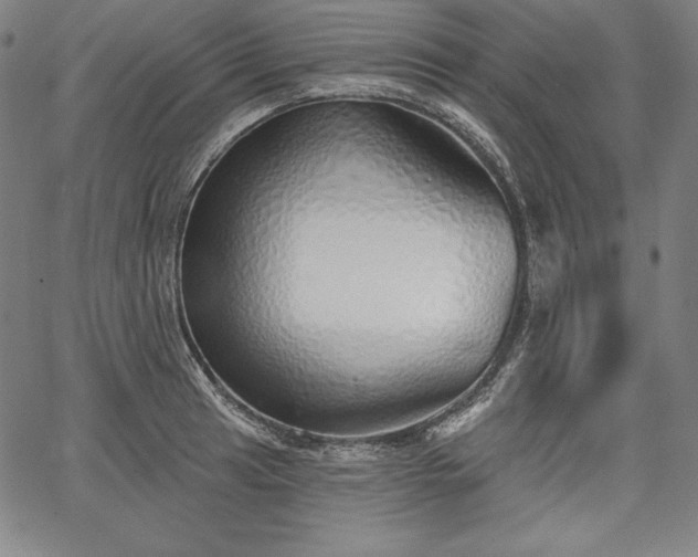 X0000067941041200604201400