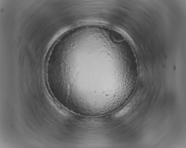 X0000067941043200604201400