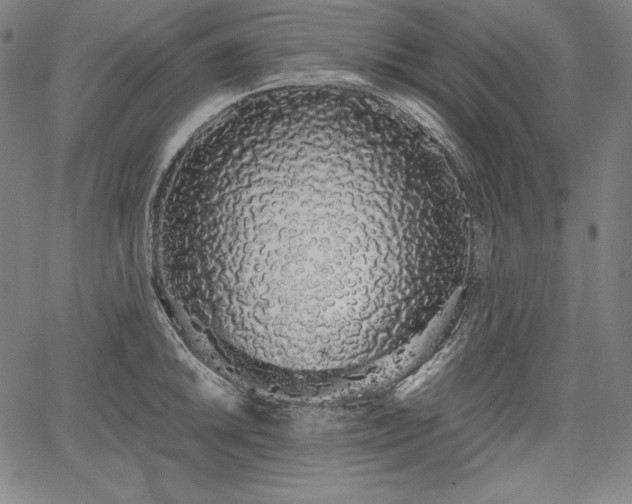 X0000067941046200604201400