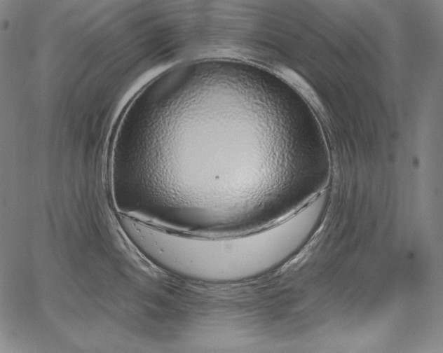 X0000067941052200604201401