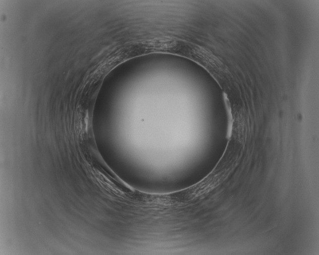 X0000067941058200604201400