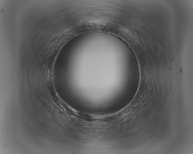 X0000067941061200604201400