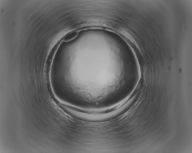 X0000067941068200604201400