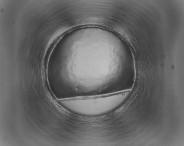 X0000067941072200604201400