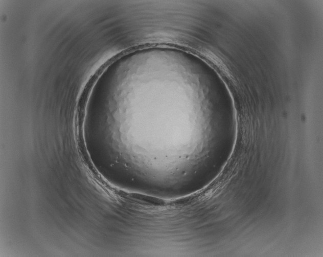 X0000067941076200604201400