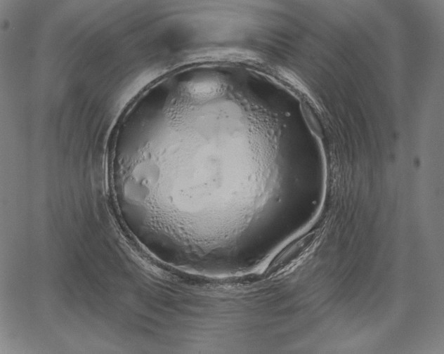 X0000067941079200604201359