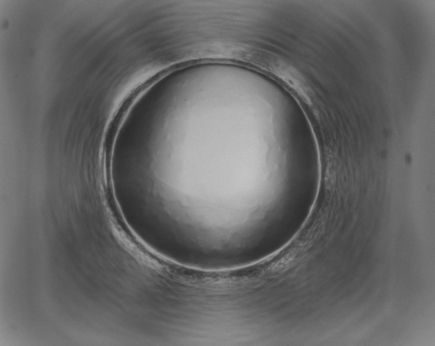 X0000067941080200604201359