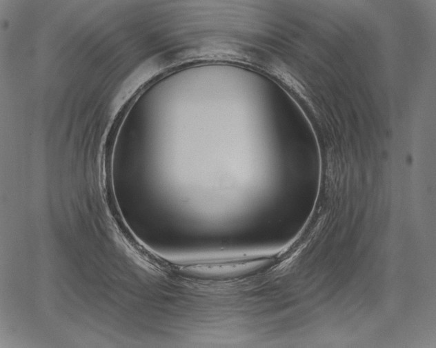 X0000067941082200604201359