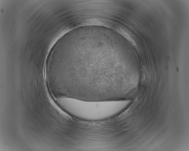 X0000067941084200604201359