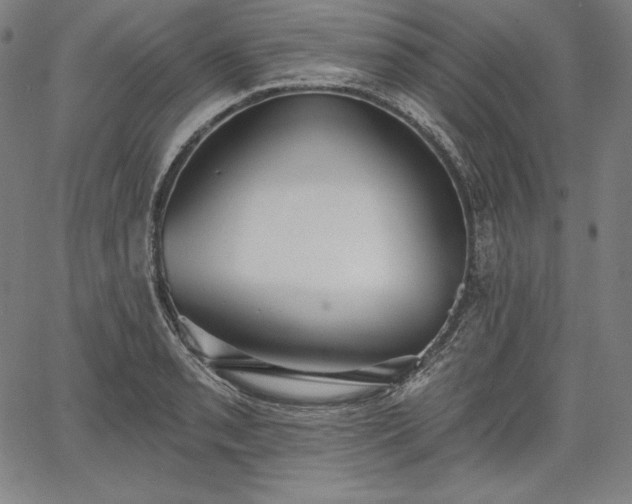 X0000067941085200604201359
