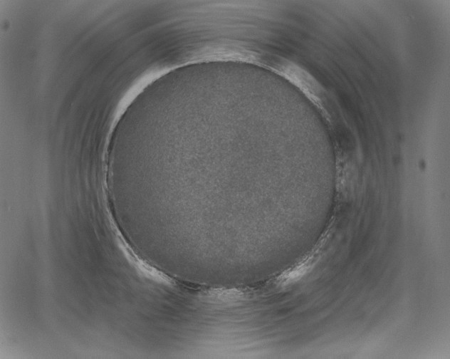 X0000067941094200604201359
