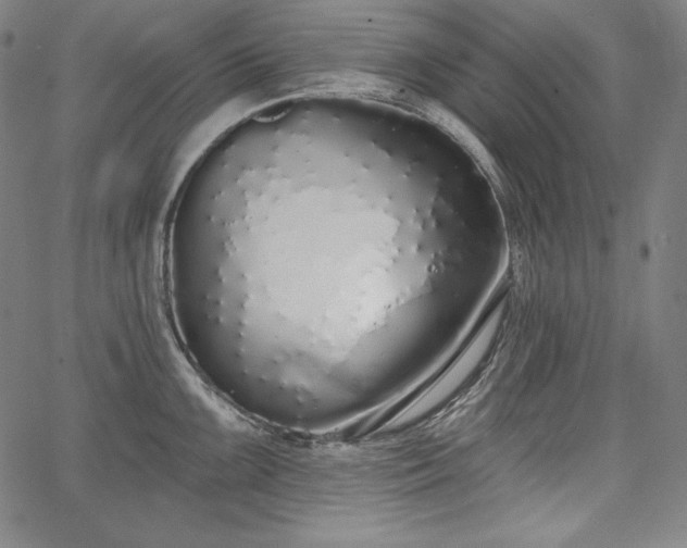 X0000067941099200604201359