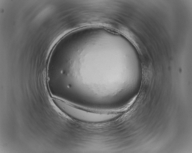 X0000067941100200604201359