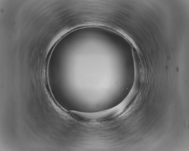 X0000067941101200604201359