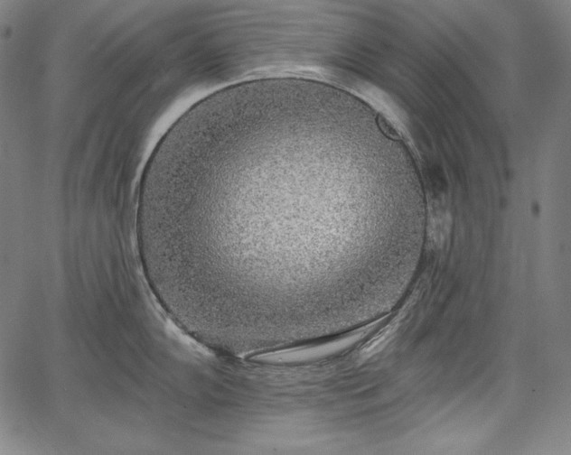 X0000067941102200604201359