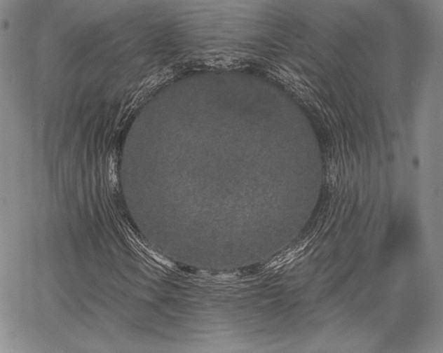 X0000067941106200604201358