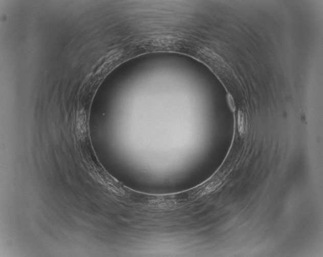 X0000067941107200604201358