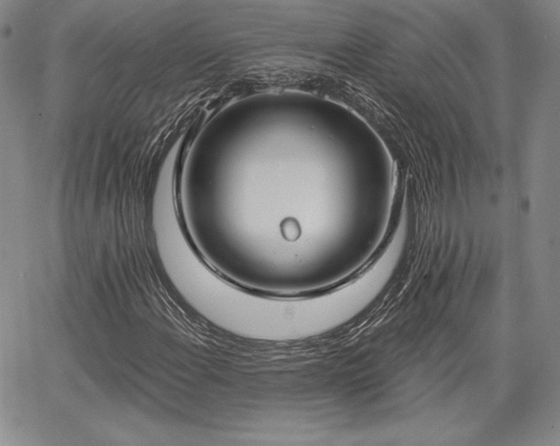 X0000067941108200604201358