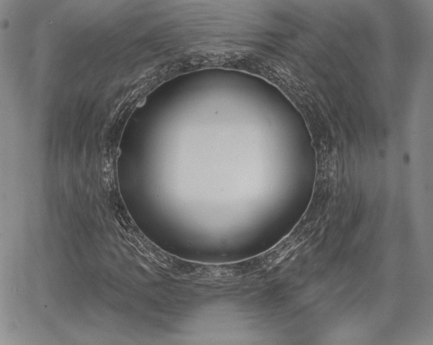 X0000067941109200604201358