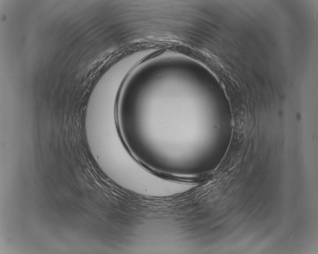 X0000067941110200604201358