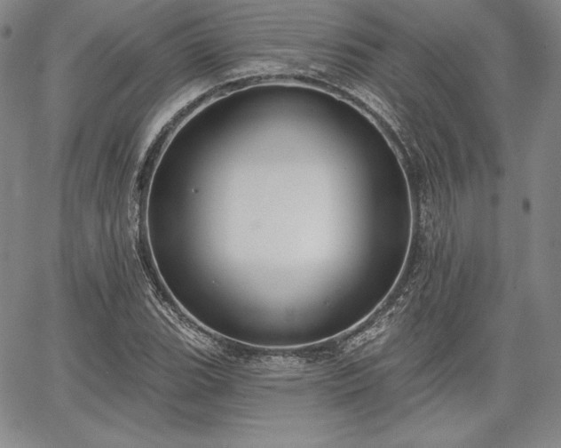 X0000067941119200604201359