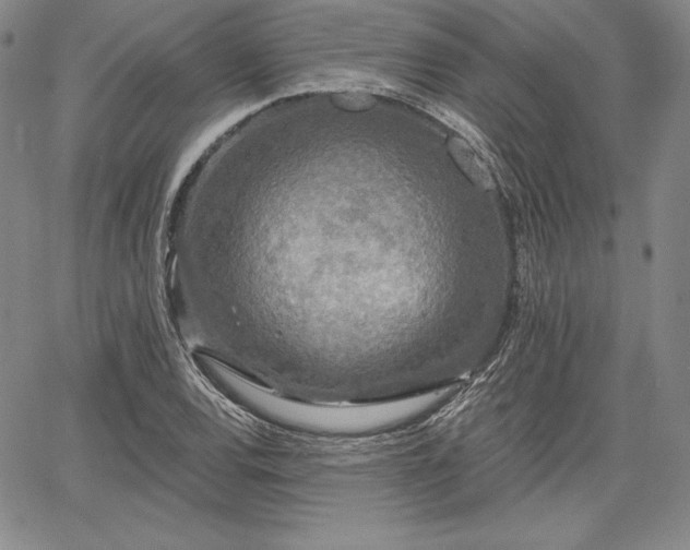 X0000067941120200604201359