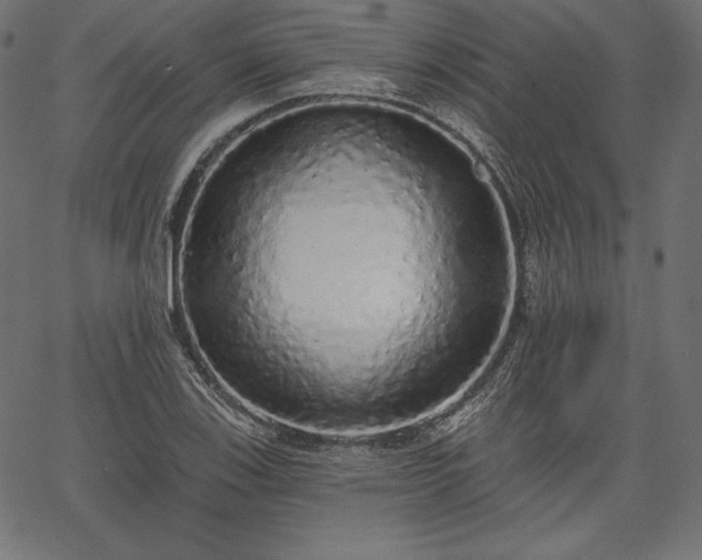 X0000067941123200604201359