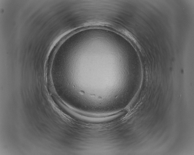 X0000067941124200604201359