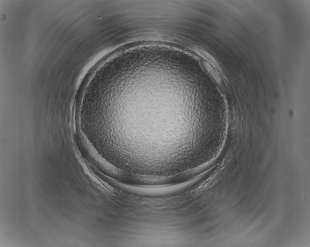X0000067941128200604201359