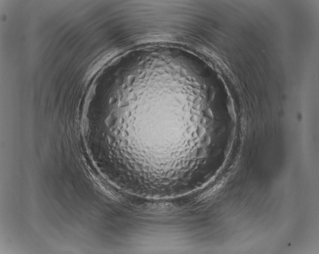 X0000067941129200604201359