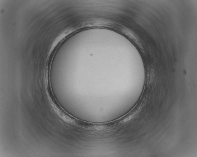 X0000067941130200604201359